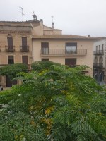 AVUI 21 D'OCTUBRE COMENÇA LA PODA D'ARBRAT A GUISSONA