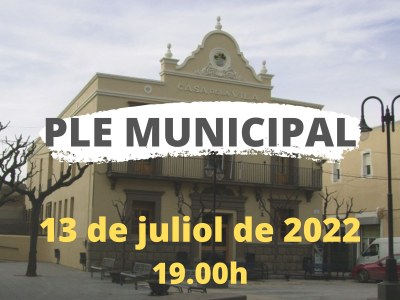 DIMECRES 13 DE JULIOL, PLE MUNICIPAL