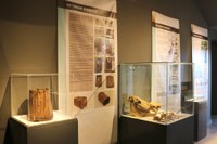 EL MUSEU DONA A CONÈIXER MATERIAL ARQUEOLÒGIC EXCEPCIONAL
