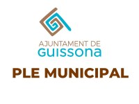 EL PLE MUNICIPAL DEL PROPER 1 D'OCTUBRE ES PODRÀ SEGUIR EN DIRECTE A TRAVÉS DE YOUTUBE