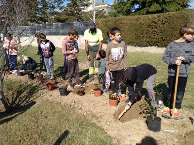 ELS ALUMNES DE 4T DELS CENTRES DE GUISSONA CELEBREN EL DIA DE L’ARBRE