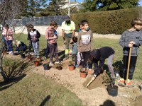 ELS ALUMNES DE 4T DELS CENTRES DE GUISSONA CELEBREN EL DIA DE L’ARBRE