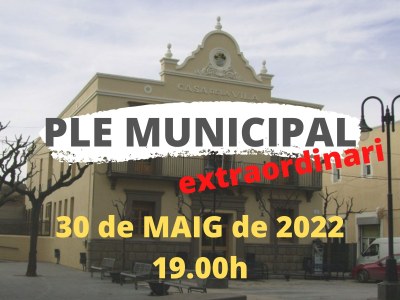 ES PREPARA UN PLE EXTRAORDINARI PEL PROPER DILLUNS 30 DE MAIG