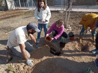 GUISSONA COMMEMORA EL DIA DE LA NATURALESA AMB LA PLANTADA DE 100 PLANTES AROMÀTIQUES I 3 ARBRES