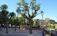 GUISSONA PRESENTA LES OBRES DE LA PLAÇA VELL-PLA