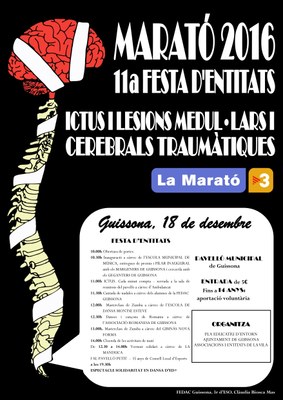 11 ANYS DE SOLIDARITAT EN XARXA A GUISSONA