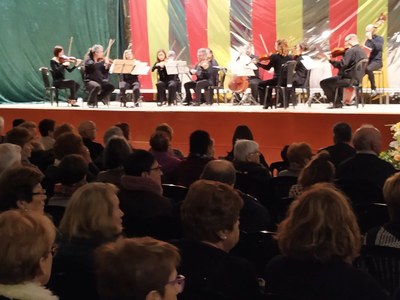 CONCERT DE NADAL AMB VIENA PUNT DE TROBADA
