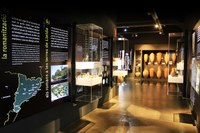 El Museu de Guissona entra al Registre Oficial de Museus de Catalunya