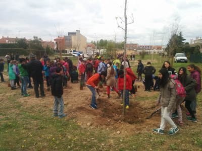 GUISSONA CELEBRA EL DIA DE L'ARBRE