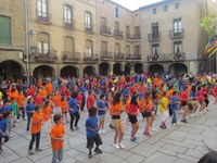 GUISSONA DÓNA SUPORT DE “COLORS” PER LA MARATÓ DE TV3