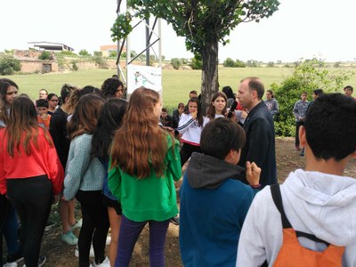 Guissona participa a la campanya LET'S CLEAN UP, campanya de l'Agència de Residus que promou accions de neteja als espais naturals. 