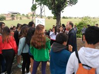 Guissona participa a la campanya LET'S CLEAN UP, campanya de l'Agència de Residus que promou accions de neteja als espais naturals. 