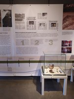 NOVA EXPOSICIÓ "MIRANT ELS ORÍGENS, MIRANT A IESSO"